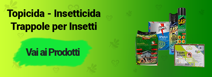 Topicida Insetticidi Trappole Per Topi